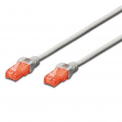 UTP Category 6 Rigid Network cable Ewent Hall 10 m