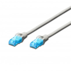 UTP Category 6 Rigid Network Cable Ewent White Gray 10 m