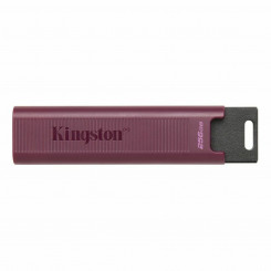 USB-накопитель Kingston Max Red 256 ГБ  