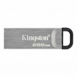 USB-накопитель Kingston DTKN/256GB Необходимо 256 ГБ
