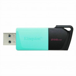 USB-pulk Kingston Exodia M Must 256 GB