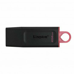 USB-pulk Kingston DTX/256GB Must 256 GB