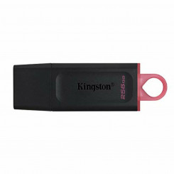 USB-pulk Kingston DTX/256GB Võtmekett Must 256 GB