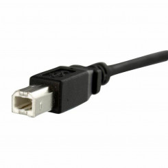 USB-кабель Startech USBPNLBFBM1 USB B Черный
