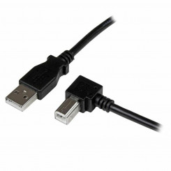 USB A to USB B Cable Startech USBAB1MR             Black