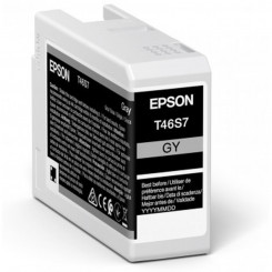 Оригинальный картридж Epson C13T46S700 25 мл Черный Серый