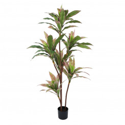 Decorative Plant 160 cm Dracaena Green