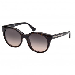 Ladies' Sunglasses Web Eyewear WE0326
