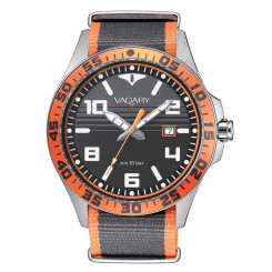Мужские часы Vagary IB7-317-60