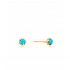 Women's Earrings Ania Haie E027-99G 1 cm