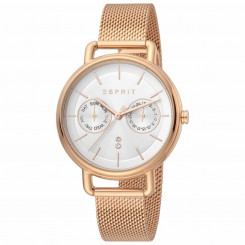 Women's Watch Esprit ES1L179M0095