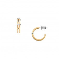Women's Earrings Skagen SKJ1671998