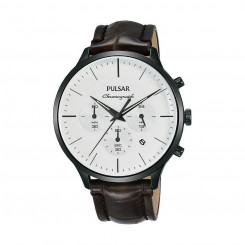 Мужские часы Pulsar PT3895X1
