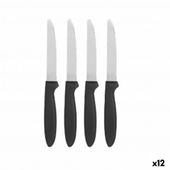 Набор ножей Черный Серебристый Нержавеющая сталь Пластик 19,5 см (12 шт.)