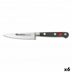 Нож для очистки овощей Quttin Safrane 10 см 10 x 2 x 2 см 2 мм (6 шт.)