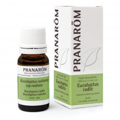 Essential oil Pranarôm Eucalyptus 10 ml