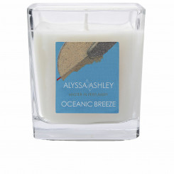 Lõhnastatud küünal Alyssa Ashley Oceanic Breeze 145 g