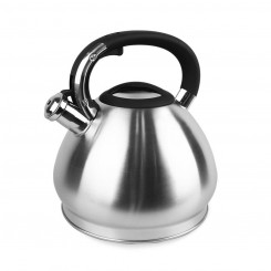 Water jug Feel Maestro MR-1319 Black Silver Stainless steel Plastic mass 4.3 L
