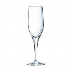 Champagne glass Chef & Sommelier Transparent Glass (19 cl)