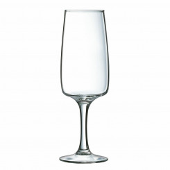 Šampanjaklaas Luminarc Equip Home Transparent Glass (17 CL)