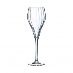Tasside komplekt Chef & Sommelier Symetrie šampanja läbipaistev 6 ühikut klaas 160 ml