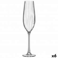 Šampanjaklaas Bohemia Crystal Optic läbipaistev klaas 260 ml (6 ühikut)