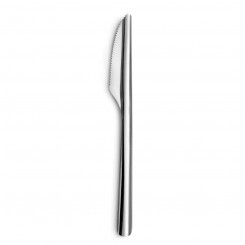 Knife Set Amefa Ecologic Slim Metal Steel (12 Units)