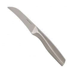 Нож овощечистка 5five Нержавеющая сталь Хромированная (21 см)