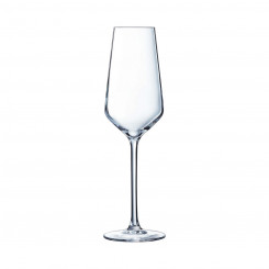 Flat champagne and cava glass Chef & Sommelier Distinction 6 Units Glass (230 ml)