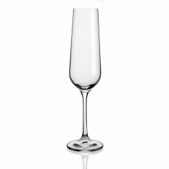 Šampanjaklaas Belia Bohemia läbipaistev klaas 6 ühikut (20 cl)