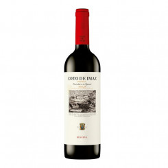 Red Wine Coto Imaz Rioja (75 cl)