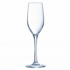 Champagne glass Chef&Sommelier Sequence Transparent Glass 6 Units (17 CL)