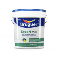Värv Bruguer Expert 5208090 15 L