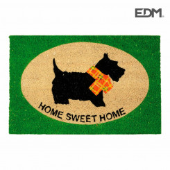 Doormat EDM Green Fibre (60 x 40 cm)