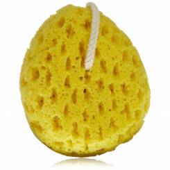 Body Sponge QVS Luxe (14 cm)