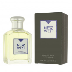 Meeste parfüüm Aramis EDT New West 100 ml