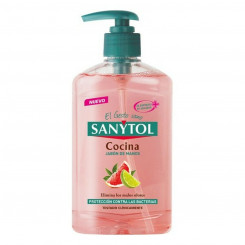 Жидкое мыло с дозатором Antibacterias Kitchen Sanytol (250 ml)