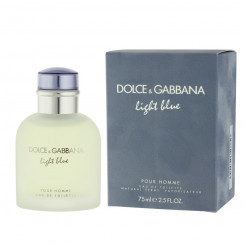 Meeste parfümeeria Dolce & Gabbana EDT Light Blue Pour Homme (75 ml)