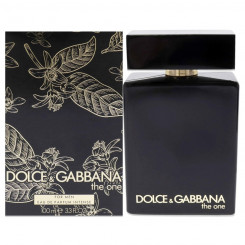Meeste parfümeeria Dolce & Gabbana EDP 100 ml The One For Men