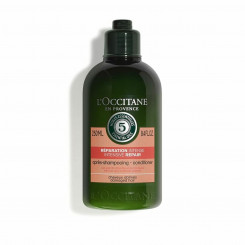 Taastav šampoon L´occitane Aromachology (250 ml)