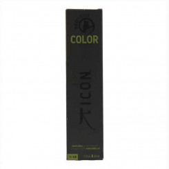 Looduslik värvaine Ecotech Color Icon Harjatud Nickel 60 ml