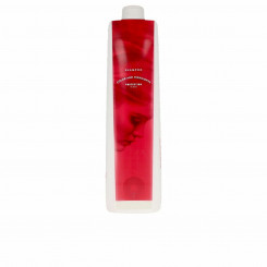 Juuksevärvi taastav šampoon Fructis Shikiso Keratin Ginseng 1 L