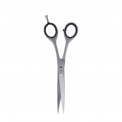 Hair scissors Zainesh 7