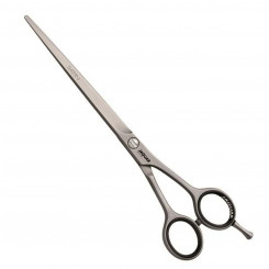 Hair scissors Fama Fabré Jaguar 7