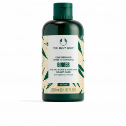 Palsam The Body Shop Ginger 250 ml