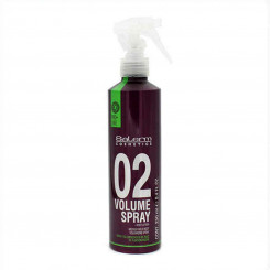 Volumizing spray Proline 02 Salerm 8420282038928 (500 ml)