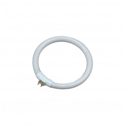 Fluorescent tube EDM 30287 Replacement Round T4 White 12 W (6500 K)