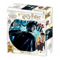 3D Pusle Harry Potter (500 pcs)
