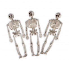 Skelett My Other Me 3 ühikut 7 x 5 x 20 cm