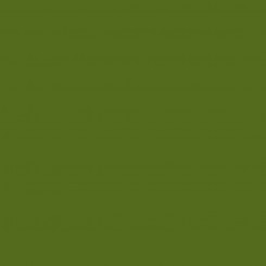Card Iris 29,7 x 42 cm Military green (50 Units)